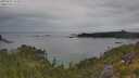./images/calvert/foggy-cove/20250625/foggy-cove20250625_141011M.jpg