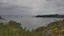 ./images/calvert/foggy-cove/20250625/foggy-cove20250625_141511M.jpg
