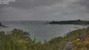 ./images/calvert/foggy-cove/20250625/foggy-cove20250625_143011M.jpg