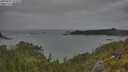 ./images/calvert/foggy-cove/20250625/foggy-cove20250625_143510M.jpg