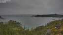 ./images/calvert/foggy-cove/20250625/foggy-cove20250625_144510M.jpg
