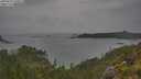 ./images/calvert/foggy-cove/20250625/foggy-cove20250625_150511M.jpg