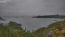 ./images/calvert/foggy-cove/20250625/foggy-cove20250625_151511M.jpg