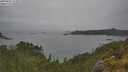 ./images/calvert/foggy-cove/20250625/foggy-cove20250625_152011M.jpg
