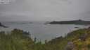 ./images/calvert/foggy-cove/20250625/foggy-cove20250625_152509M.jpg