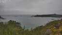 ./images/calvert/foggy-cove/20250625/foggy-cove20250625_153011M.jpg