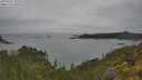 ./images/calvert/foggy-cove/20250625/foggy-cove20250625_154511M.jpg