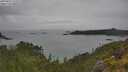 ./images/calvert/foggy-cove/20250625/foggy-cove20250625_155509M.jpg