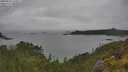 ./images/calvert/foggy-cove/20250625/foggy-cove20250625_160011M.jpg