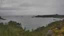 ./images/calvert/foggy-cove/20250625/foggy-cove20250625_160510M.jpg
