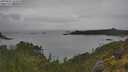 ./images/calvert/foggy-cove/20250625/foggy-cove20250625_161011M.jpg