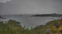 ./images/calvert/foggy-cove/20250625/foggy-cove20250625_165009M.jpg