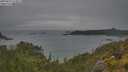 ./images/calvert/foggy-cove/20250625/foggy-cove20250625_173011M.jpg