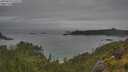 ./images/calvert/foggy-cove/20250625/foggy-cove20250625_175509M.jpg