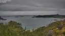 ./images/calvert/foggy-cove/20250625/foggy-cove20250625_181510M.jpg