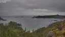 ./images/calvert/foggy-cove/20250625/foggy-cove20250625_182510M.jpg