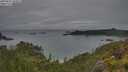 ./images/calvert/foggy-cove/20250625/foggy-cove20250625_200008M.jpg