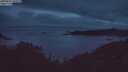./images/calvert/foggy-cove/20250625/foggy-cove20250625_224509M.jpg