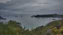 ./images/calvert/foggy-cove/20250626/foggy-cove20250626_052010M.jpg