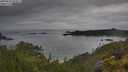 ./images/calvert/foggy-cove/20250626/foggy-cove20250626_053007M.jpg