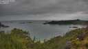 ./images/calvert/foggy-cove/20250626/foggy-cove20250626_053507M.jpg
