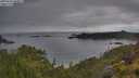 ./images/calvert/foggy-cove/20250626/foggy-cove20250626_054007M.jpg