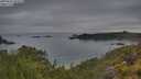 ./images/calvert/foggy-cove/20250626/foggy-cove20250626_055509M.jpg