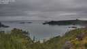 ./images/calvert/foggy-cove/20250626/foggy-cove20250626_060010M.jpg