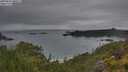 ./images/calvert/foggy-cove/20250626/foggy-cove20250626_060511M.jpg