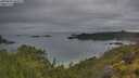 ./images/calvert/foggy-cove/20250626/foggy-cove20250626_063509M.jpg