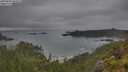 ./images/calvert/foggy-cove/20250626/foggy-cove20250626_064508M.jpg