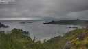 ./images/calvert/foggy-cove/20250626/foggy-cove20250626_070010M.jpg