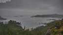 ./images/calvert/foggy-cove/20250626/foggy-cove20250626_074011M.jpg