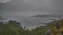./images/calvert/foggy-cove/20250626/foggy-cove20250626_074508M.jpg