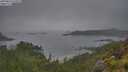 ./images/calvert/foggy-cove/20250626/foggy-cove20250626_075509M.jpg