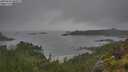 ./images/calvert/foggy-cove/20250626/foggy-cove20250626_080009M.jpg