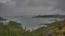 ./images/calvert/foggy-cove/20250626/foggy-cove20250626_081510M.jpg