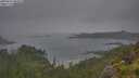 ./images/calvert/foggy-cove/20250626/foggy-cove20250626_084511M.jpg