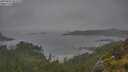 ./images/calvert/foggy-cove/20250626/foggy-cove20250626_091010M.jpg