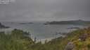 ./images/calvert/foggy-cove/20250626/foggy-cove20250626_091510M.jpg