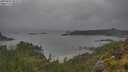 ./images/calvert/foggy-cove/20250626/foggy-cove20250626_092010M.jpg
