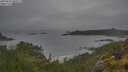 ./images/calvert/foggy-cove/20250626/foggy-cove20250626_092507M.jpg