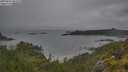 ./images/calvert/foggy-cove/20250626/foggy-cove20250626_093010M.jpg