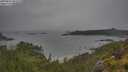 ./images/calvert/foggy-cove/20250626/foggy-cove20250626_094510M.jpg