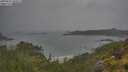 ./images/calvert/foggy-cove/20250626/foggy-cove20250626_100011M.jpg