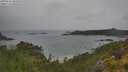 ./images/calvert/foggy-cove/20250626/foggy-cove20250626_101010M.jpg