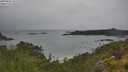 ./images/calvert/foggy-cove/20250626/foggy-cove20250626_101509M.jpg