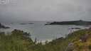 ./images/calvert/foggy-cove/20250626/foggy-cove20250626_102011M.jpg
