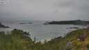./images/calvert/foggy-cove/20250626/foggy-cove20250626_102509M.jpg