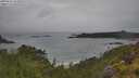 ./images/calvert/foggy-cove/20250626/foggy-cove20250626_103010M.jpg
